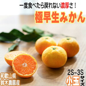 yӂ邳Ɣ[Łzyɑ݂z瑁  YN26 3L SSE3STCY a̎RY _