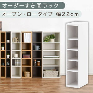 yӂ邳Ɣ[ŁzyYƋzI[_[ԃbNkI[vE[^Cv 20cm~24cm liIׂ4F×5TCYjԃbN { Y Ԏ[ bN {I X ^ c I[_[ I