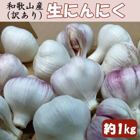 【ふるさと納税】和歌山県産 生にんにく 約1kg ご家庭用 ★2027年4月下旬より順次発送［TM202］ | やさい 野菜 ニンニク イタリアン 料理 人気 おすすめ 送料無料