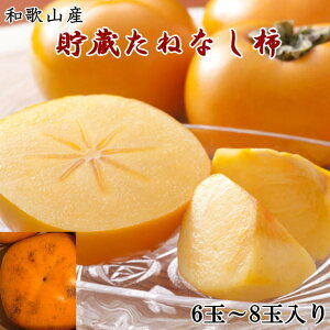 yӂ邳Ɣ[Łza̎RY˂Ȃ`ϔi6ʁ`8ʓj2025N12{菇mTM124n | `  t[c ʕ  Hi lC  