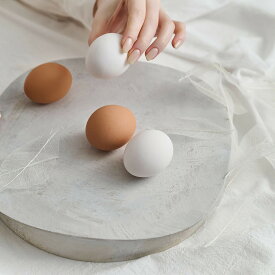 【ふるさと納税】【選べる種類】紀州漆器 SHIKI-ORIORI しきおりおり さざなみ または ゆきはだ Dai 台 お盆 トレイ | 工芸品 クラフト 民芸 お盆 キッチン用品 トレー 日用品 人気 おすすめ 送料無料