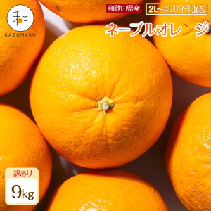 yӂ邳Ɣ[ŁzyIׂeʁETCYz s\ 󂠂 X{_̎I l[uIW 2kg`10kg a̎RY TCY mkCEEzsn | ݂  t[c 