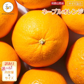 【ふるさと納税】【選べる容量・サイズ】 先行予約 訳あり 森本農園の手選別 ネーブルオレンジ 2kg～10kg 和歌山県産 サイズ混合 ［北海道・沖縄・離島配送不可］ | 海南市 ネーブルオレンジ サイズ混合 人気 おすすめ 訳あり お取り寄せふるさと納税