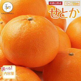 【ふるさと納税】【選べる容量】森本農園の手選別 せとか 約2kg～5kg 和歌山県産 サイズ混合 ［北海道・沖縄・離島配送不可］［2026年2月上旬から順次発送予定］［RN129］ | せとか 蜜柑 フルーツ 果物 くだもの 食品 人気 おすすめ 送料無料