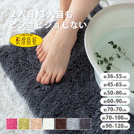 【ふるさと納税】【選べるサイズとカラー】 乾度良好 Dナチュレ バスマット 吸水速乾 裏面すべり止め加工 抗菌防臭 洗える 足拭きマット | バスマット 乾度良好 吸水速乾性 人気 ホテル 最高品質 ご家庭用