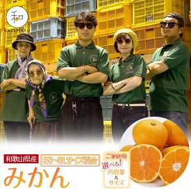 【ふるさと納税】【選べる容量・サイズ】 先行予約 家庭用 森本農園の手選別 みかん 1.5kg～10kg 和歌山県産 ［北海道・沖縄・離島配送不可］ | みかん 蜜柑 フルーツ 果物 くだもの 食品 人気 おすすめ 送料無料