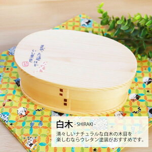 yӂ邳Ɣ[ŁzyIׂJ\z݂悵{ Ȃ ٓ 600ml 17.5×11.5×6.5cm ^ ٓ i ܂lR搶 L  h | Ȃ ٓ wZ ItBX pi