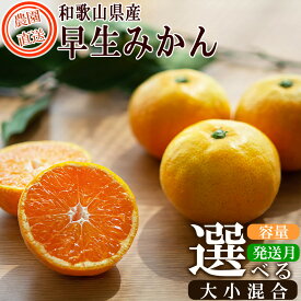 【ふるさと納税】早生みかん 訳あり 和歌山産みかん 家庭用 2kg〜10kg 選べる容量 送料無料 | 海南市 ミカン 温州みかん フルーツ 送料無料 ふるさと納税
