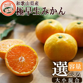 【ふるさと納税】【極早生みかん】 訳あり 和歌山産みかん 家庭用 2kg～10kg 選べる容量 送料無料 | 混合サイズ 果物 くだもの フルーツ | ふるさと納税