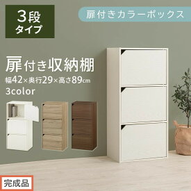 【ふるさと納税】【完成品でお届け】扉付きカラーボックス〔3段〕（選べる3色）カラーボックス 扉付き 3段 木製 収納棚 扉付き本棚 リビング キッチン 寝室 雑貨 小物 収納 大きめ CDラック 扉付き収納ボックス 隙間収納 ラック AKANBR920131