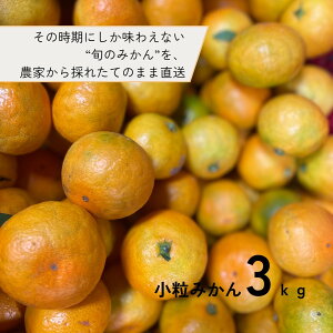 yӂ邳Ɣ[ŁzÂ݂ ݂ 3kg | ݂  t[c ʕ  Hi lC   Yn