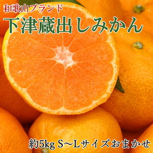 �y�ӂ邳�Ɣ[�Łz�m�Y���n���Ñ��o���݂����5kg�iS�`L�T�C�Y���܂����j��2026�N1�����{����菇���o��