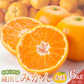 【ふるさと納税】蔵出しみかん6kg《大玉》2L又は3Lサイズ【和歌山県産】昔ながらのみかん鈴木農園より農園直送｜LLサイズ 2Lサイズ 家庭用 大きいサイズ※北海道・沖縄県・一部離島 配送不可