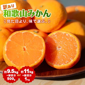 【ふるさと納税】【選べる内容量】【訳あり】和歌山みかん サイズ混合 11月より順次発送 訳ありみかん | 海南市 旬の果物 大容量 柑橘 果物 フルーツ 訳あり 家庭用 人気 おすすめ ジュース用 季節限定 まとめ買い お取り寄せ 通販 送料無料 ふるさと納税