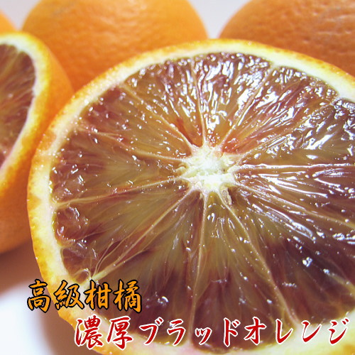 高級オレンジ 【好評にて期間延長】 赤い果肉のブラッドオレンジ
