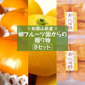 yӂ邳Ɣ[Łzt[c̑蕨 BZbgy1143954z
