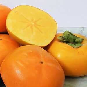 yӂ邳Ɣ[Łzyߘa8Nxz`JeSʊl!@JA킩(Ikn)̂˂Ȃ`@7.5kg@L2L_ ` ˂Ȃ` ʕ t[c  ӂ[  Y a̎R  햳 