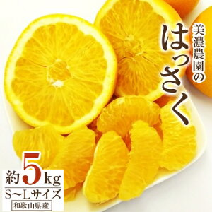 yӂ邳Ɣ[Łza̎RY@Z_̂͂ 5kg(ނt)y1272362z