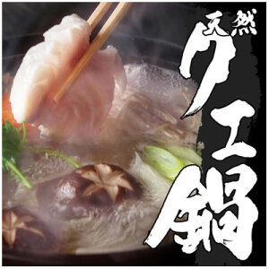 yӂ邳Ɣ[ŁzVRNGZbg &R[QՂyzsnFzy1275188z