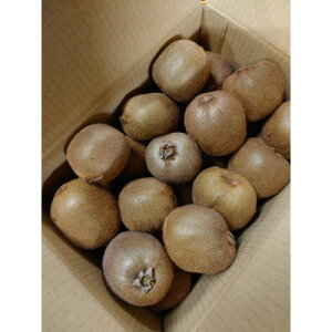 yӂ邳Ɣ[Łz󂠂@LECt[c(wC[h)@3kgy1394616z