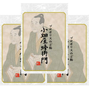 【ふるさと納税】プロポリスのど飴「小畑屋蜂衛門」【1袋100g入り×3袋セット】【1421684】
