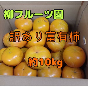 yӂ邳Ɣ[Łzt[c̖󂠂xL` 10kgy2025~zy1457253z