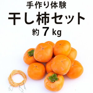 yӂ邳Ɣ[Łzt[c̊`Zbg 7kgy1457277z