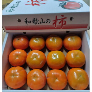 yӂ邳Ɣ[ŁzyƒpzxL`2kg@S`M@12y1486495z