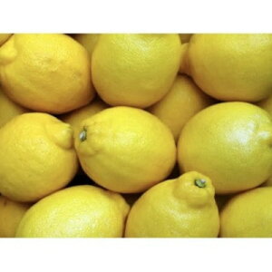 yӂ邳Ɣ[ŁzAgeBXt@[̍Y 1kg+100g(11菇\)y1514141z