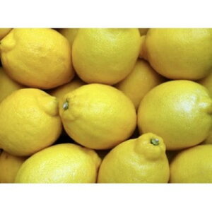 yӂ邳Ɣ[Łzy󂠂zAgeBXt@[̍Y 5kg+500g(11菇\)y1517853z