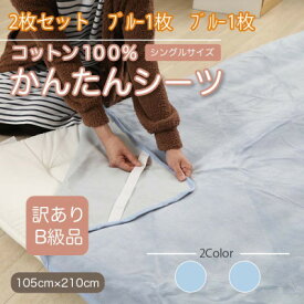 【ふるさと納税】【訳あり】【同色2枚セット】 シーツ 敷毛布 かんたんシーツ シングル 綿100% ブルー【1523673】