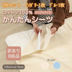 yӂ邳Ɣ[Łzy󂠂zy2Zbgz V[c ~ѕz 񂽂V[c VO 100% AC{[×u[y1523687z