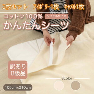 yӂ邳Ɣ[Łzy󂠂zy2Zbgz V[c ~ѕz 񂽂V[c VO 100% AC{[×Ly1523690z