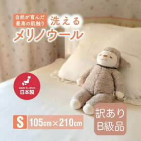【ふるさと納税】【訳あり】メリノウール シングル ウール100% ボアシーツ ゴム付き 105×210cm【1603563】
