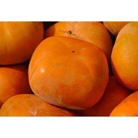 【ふるさと納税】【先行予約】柳フルーツ園のたねなし柿　5kg【1077823】