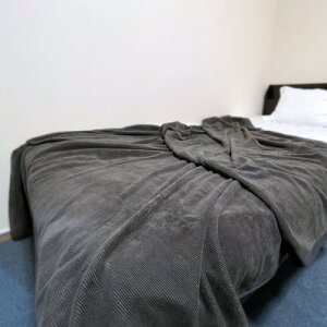 yӂ邳Ɣ[Łzȃmg[ѕz@O[y1182880z