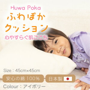 �y�ӂ邳�Ɣ[�Łz�ӂ�ۂ� �N�b�V���� �A�C�{���[�y1697056�z