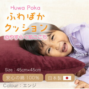 �y�ӂ邳�Ɣ[�Łz�ӂ�ۂ� �N�b�V���� �G���W�y1697134�z