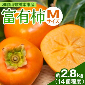 yӂ邳Ɣ[ŁzP[Yt@[@xL`@M@14x(2.8kg)_ ` xL` ʕ t[c  ӂ[  Y a̎R  lC  Yn Â ƒp MTCY fU[g Y