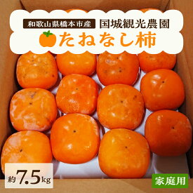 【ふるさと納税】国城観光農園のたねなし柿(家庭用・訳あり)約7.5kg_ 果物 フルーツ くだもの 柿 かき 種無し 種なし くだもの ふるーつ 和歌山 人気 送料無料 産地直送 甘い 秋の味覚 旬 家庭用 訳あり 規格外 傷 不揃い たねなし柿 【1143474】
