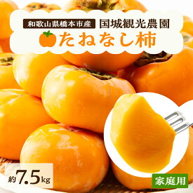 【ふるさと納税】【2026年度発送分】国城観光農園のたねなし柿(家庭用・訳あり)約7.5kg_ 果物 フルーツ くだもの 柿 かき 種無し 種なし くだもの ふるーつ 和歌山 人気 送料無料 産地直送 甘い 秋の味覚 旬 家庭用 訳あり 規格外 傷 不揃い たねなし柿 【1143474】