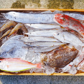 【ふるさと納税】漁師の鮮魚箱（約3kg）(A889-2)