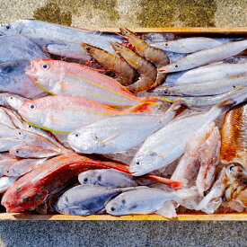 【ふるさと納税】漁師の鮮魚箱（約4kg）(A890-2)