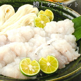 【ふるさと納税】鱧しゃぶセット2～3人前(A185-2)
