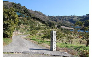 yӂ邳Ɣ[Łz蕔ƕсFÓ̂ڂ邠肾yؕtz(A220-1)