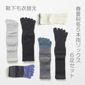 yӂ邳Ɣ[Łz5{w\bNXtďH~Zbg(25-27cm)(A423-2)