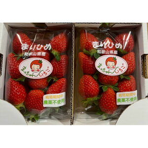 �y�ӂ邳�Ɣ[�Łz�a�̎R�̂������u�܂�Ђ߁v2�p�b�N(A1084-1)