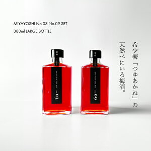 yӂ邳Ɣ[ŁzMIYAYOSHI No.03E09 2P SET LARGE BOTTLEiA970-2j