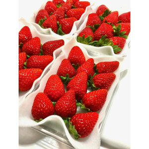 yӂ邳Ɣ[Łza̎R̂ u嗱܂Ђ߁v4pbNiA460-2j