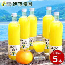 【ふるさと納税】伊藤農園100％ピュアジュースはっさくしぼり750ml×5本（A607-3）ふるさと納税 ジュース みかんジュース みかん オレンジジュース